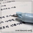 라이텍 | [라이텍 캡리스 노크식 만년필/카트리 세트] 잉크 카트리지 교환/펜촉 보호가 되는 만년필 후기