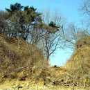 대부해솔길 2코스 이미지