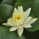 갑과 을의 사랑 이미지