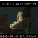묘미식당