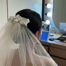 사평대로 108 (1) | [결혼준비 #8] 더컨벤션 반포 토요일 오후2시 본식 후기 (황정아드레스, 애브뉴준오)