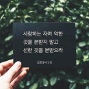 열왕기하 24:8 – 24:20 자기 백성을 징계하시고 함께 모욕당하시는 하나님/이미지 이미지