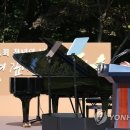 양반네 뉴데일리