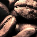 커피의 기원과 역사 이미지