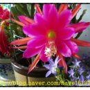 공작카센터 이미지