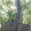 내곡동426 이미지