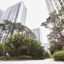 에이스 진 공인중개사사무소 네이버블로그