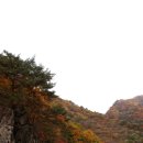 칠전제2교 | 가을의 추억! 내린천 열목어 플라이낚시 조행기