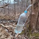 대광건강원 이미지