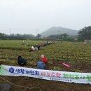 이광석농장 네이버블로그