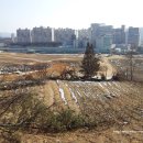 화릉군묘 이미지