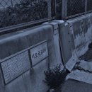 원조언양옛날곰탕 이미지