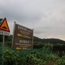 음성(남이) 이미지