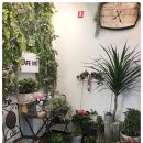 카페5157 이미지