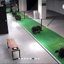 이비피골프아카데미