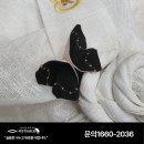 하늘품상조
