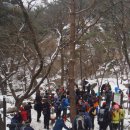 산고을황태