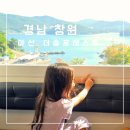 아이비오토캠핑장 | 창원 카라반 더숨포레스트 마산펜션 가성비숙소