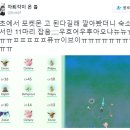 [하트세라피 광주미술심리상담센터] 포켓몬 고(Pokemon GO) "한국에서도 된다?" 이미지