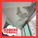 수원시 팔달구 팔달로165번길 | 곰팡이·들뜸 심한 베란다천장, 완벽 보수 완료