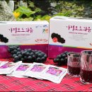 연진농장 이미지