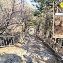 싸리골약수터 이미지