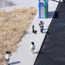 (주)디스토 | 춘천 레고랜드 프리오픈 후기 / 어트랙션꿀팁,주차, 셔틀버스