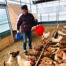 양평샘꼴농장 이미지