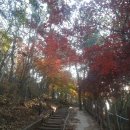 여천초등학교 이미지