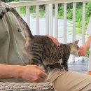 이루마펜션 이미지