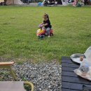 6살아이 &amp; 22개월 아기와 함께 홍천 캠프어라운드 2박3일 캠핑기