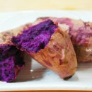 선철농장 이미지