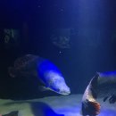 반송동223 이미지