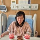 세븐일레븐 경주모아동산점 | [출산육아_3] 쌍둥이 36주차 0일 제왕절개 출산 3일차 (계대동산병원)
