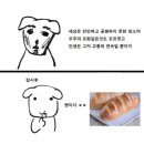 240923~240929: 바빠도 노는 건 포기 못 해