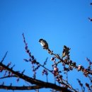 한끼식사 이미지