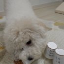 무한뽑기 이미지