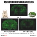 미르통상 이미지