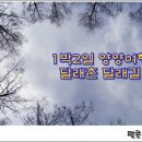 [1박2일 양양여행] 강원도 양양 달래촌 달래길 이미지