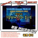 영월교육도서관 | 사이버폭력예방 교육뮤지컬! &#34;우쿨렐레 잭과 콩나무&#34; 찾아가는 공연 후기 -영월 연당초등학교 편-