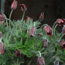 털보네집 이미지