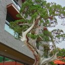 웰니스 호텔 인산가 이미지