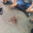 천천초교 이미지