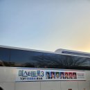 내가 더 | 미스터트롯3 TOP7 대전콘서트 엄마 효도템이었지만 내가 더 즐거웠던 후기