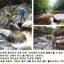 제257회(8/6) 울진 보부천 정기산행 안내/예약 이미지