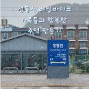 [국내여행] 강릉 가족 여행🐬 | 이색 체험 정동진 레일바이크🚲