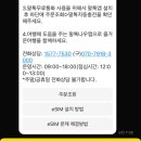 [대만] 여행준비 - eSIM 구매하기 (로밍도깨비/말톡 설치&amp;실명인증&amp;사용후기)