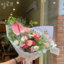 일로브 이미지