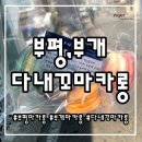 후꼬마카롱 | 부평, 부개 :: 다내꼬마카롱 _ 소금 바닐라, 흑임자, 더블치즈, 복숭아 크림치즈