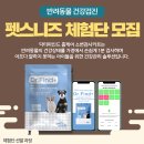 닥터파인드 이미지